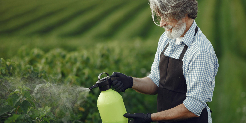 【減碳大對決】蚯蚓堆肥 VS 傳統堆肥，誰才能真正減少甲烷排放？
